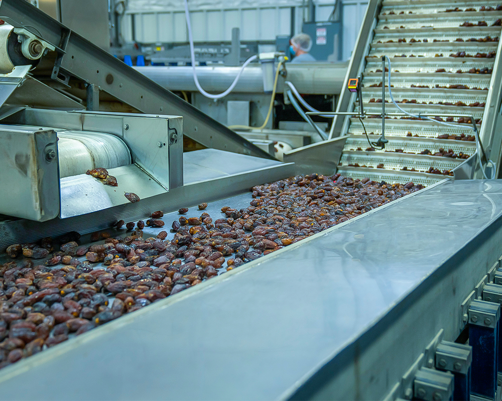 Producción de alimentos